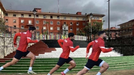 אירופה מתגייסת למען פלסטין — ישראל מבודדת: הבאסקים וקטלוניה מתייצבים מול פשעי המלחמה בעזה