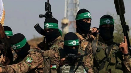 د فلسطین حماس غورځنګ د غزې په هکله پریکړه لیک رد کړ