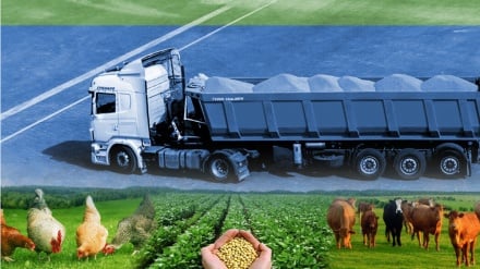 Uvumbuzi wa Bioteknolojia Iran: Manyoya ya kuku kuwa lishe ya mifugo