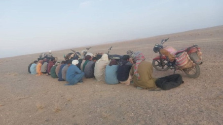 بازداشت ده‌ها نفر در هرات هنگام تلاش برای خروج غیرقانونی از افغانستان