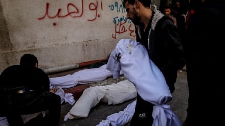 פריז מבקשת לפתוח בחקירת פשעי מלחמה לאחר בעקבות הריגתם של שני ילדים צרפתים בעזה