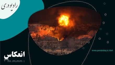 حمایت صریح آمریکا از نقض آتش بس و حملات اسرائیل به لبنان 