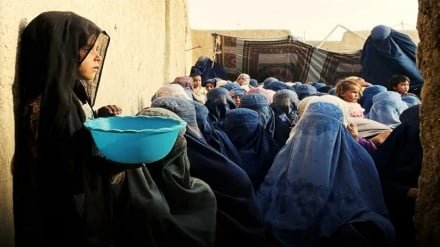 رایزنی مقامات بریتانیا با نهادهای کمک‌رسان درباره وخامت بحران ناامنی غذایی در افغانستان