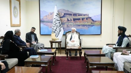 سازمان ملل از مهاجران بازگشته به افغانستان حمایت می‌کند