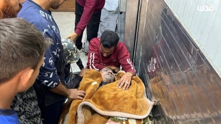 افزایش شمار شهدای جنگ غزه به ۷۰۱۰۰ نفر