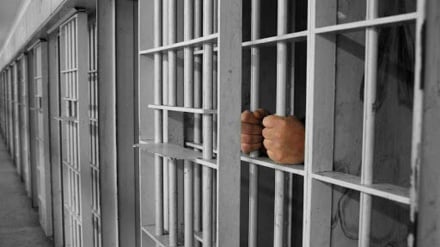 Tırkiyədə Tolışə fəali qim bey