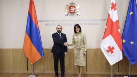 Հայաստանը վճռականորեն աջակցում է Վրաստանի ինքնիշխանությանը և տարածքային ամբողջականությանը. Վրաստանի ԱԳ նախարար