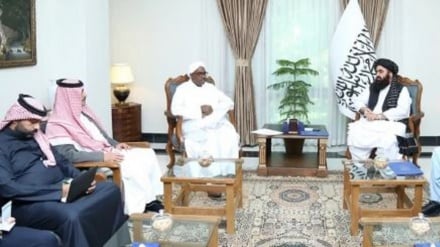 د اسلامي همکاریو سازمان د طالبانو او پاکستان ترمنځ پر خبرو اترو ټینګار کړی