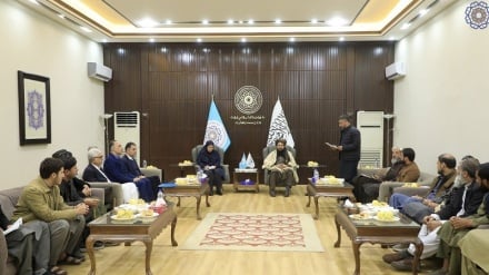 افغانستان و ایران درباره افزایش صادرات محصولات زراعتی گفت‌وگو کردند