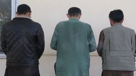 بازداشت سه تن در کابل به اتهام هک حساب‌های واتس‌اپ شهروندان