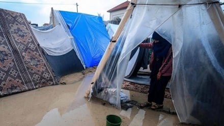 هشدار مرکز حقوق بشر غزه: زمستانِ بدون سرپناه، مرگبارتر از جنگ