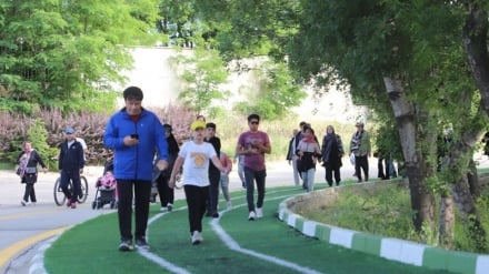 Peran Aktivitas Olahraga dalam Pengobatan Tradisional Iran