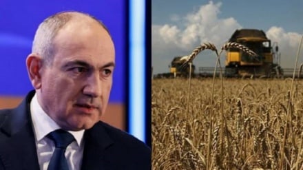 Հայաստանը երբևէ չի հրաժարվի Ռուսաստանից ցորեն ձեռք բերելուց․ Նիկոլ Փաշինյան