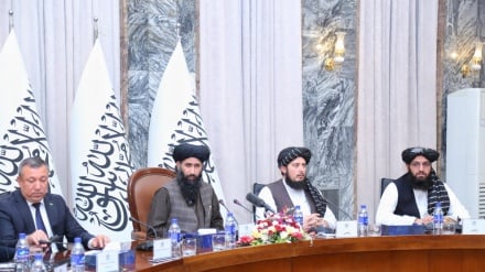 نعیم وردک: طالبان آماده ادامه مسیر دیپلماسی با پاکستان است