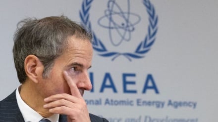 Իրանը գործակալության հետ ցանկացած համագործակցություն պայմանավորել է  Ազգային անվտանգության խորհրդի որոշմամբ 