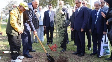 Qilonədə de Kaspi dıyo ostandaron iştiroki sulhi do kaştey