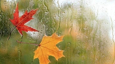 نن د افغانستان  په لسو ولایتونو کې د باران او تېزو بادونو اټکل شوی