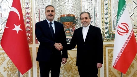 عراقچی: تهران و آنکارا برای توقف کشتار مردم فلسطین همکاری می‌کنند