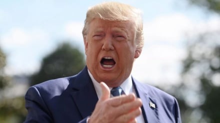 Трамп: Военные варианты действий для Нигерии возможны