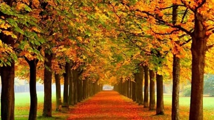 گلستان؛ بهشت هزار  رنگ شمال‌ شرق ایران