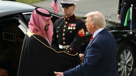 Пользователи X: Трамп считает Саудовскую Аравию просто дойной коровой, и всё.