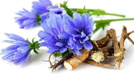 Eliksir Pembersih Hati dalam Pengobatan Tradisional Iran