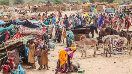 UNHCR yahimiza jamii ya kimataifa kuwasaidia wakimbizi wa Sudan nchini Chad
