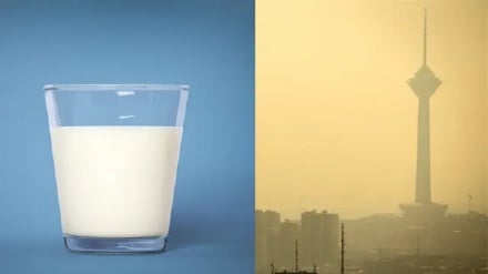 آیا واقعا شیر برای آلودگی هوا خوب است؟