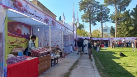 هراتی‌ها طلاهای سرخ خود را به نمایشگاه آوردند