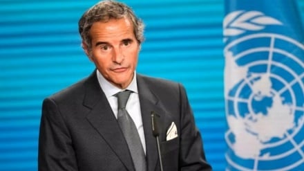 Գրոսի. Մենք ցանկանում ենք լիարժեք համագործակցություն Իրանի հետ