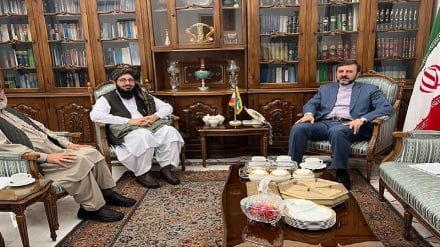 غریب‌آبادی خواستار رهاسازی آب بند سلما شد