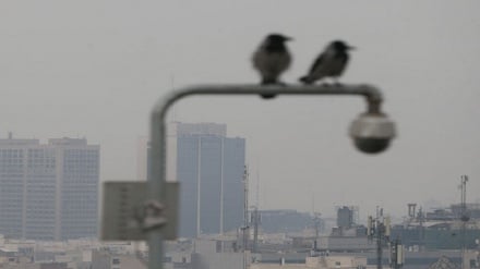 بهترین راه دفع آلودگی هوا از بدن