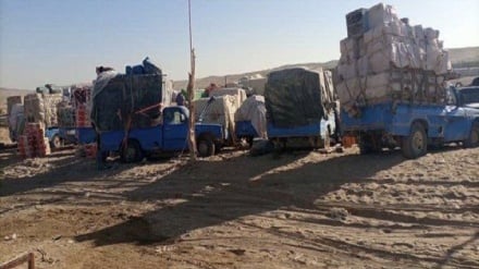 طالبان: محموله بزرگ قاچاق در هلمند توقیف شد 