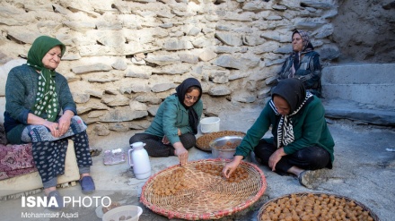 La saison du raisin à «Hezaveh»