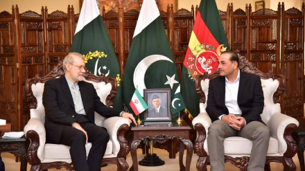 تأکید ایران و پاکستان بر توسعه همکاری‌های امنیتی و منطقه‌ای