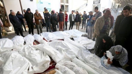 Israeli regime martyrs 10 Palestinians daily since ceasefire began