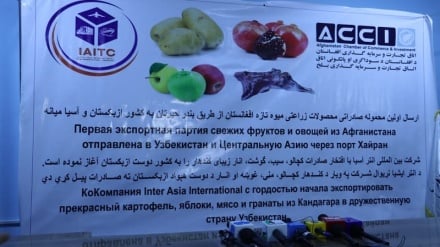 نخستین محموله ۵۰۰ تُنی میوه تازه افغانستان به آسیای میانه صادر شد 