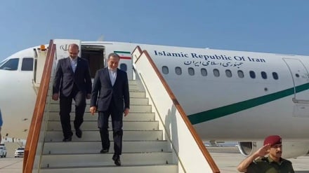 Əraqçi Hollandiyaya gəlib