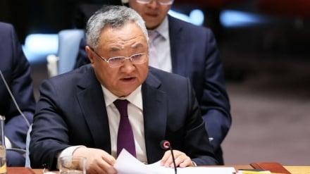 Representante de China ante la ONU: “Debe respetarse la voluntad del pueblo palestino”