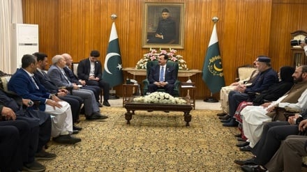 تأکید مقام‌های عالیرتبه ایران و پاکستان بر هم‌افزایی بیشتر تهران و اسلام‌آباد