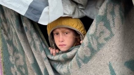 Kızılhaç Başkanı: Savaş kurallarına riayet siyasi öncelik olmalı