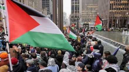 סקר: 60% מדור ה-Z האמריקאי מעדיפים את חמאס על פני ישראל