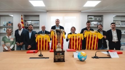 מספרד עד קנדה: הספורט מתאחד לתמיכת הפלסטינים ומהדק את החרם על ישראל בגין פשעיה