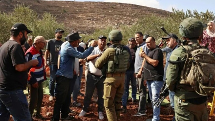     تشدید بی‌سابقه خشونت شهرک‌نشینان صهیونیست در کرانه باختری