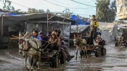 Pse Izraeli vazhdon politikën e tij të urisë kundër palestinezëve?