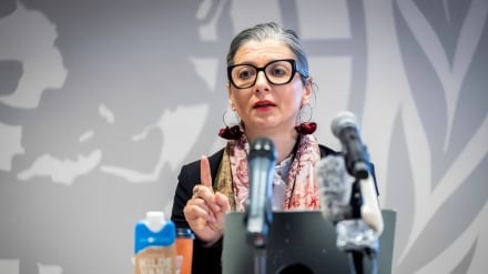 Laporan PBB yang Mengejutkan: Genosida di Gaza Masih Berlanjut