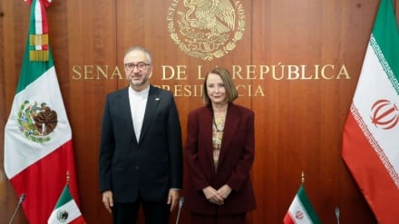 د مکسیکو د سنا مشر د ایران سره د پارلماني همکارۍ د پیاوړتیا هرکلی وکړ 