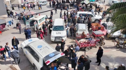 L’OMS alerte sur la mort de patients à Gaza