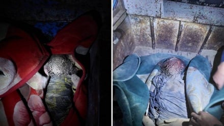 یونیسف: ماشومان باید هېڅکله په نښه نه شي