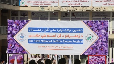 هراتی‌ها طلاهای سرخ خود را به نمایشگاه آوردند